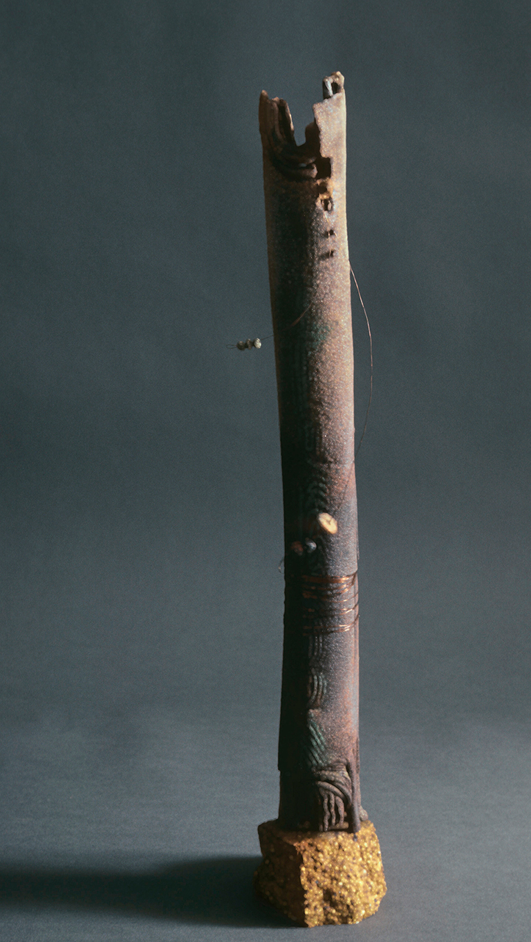 SusanEisen DarkTotem