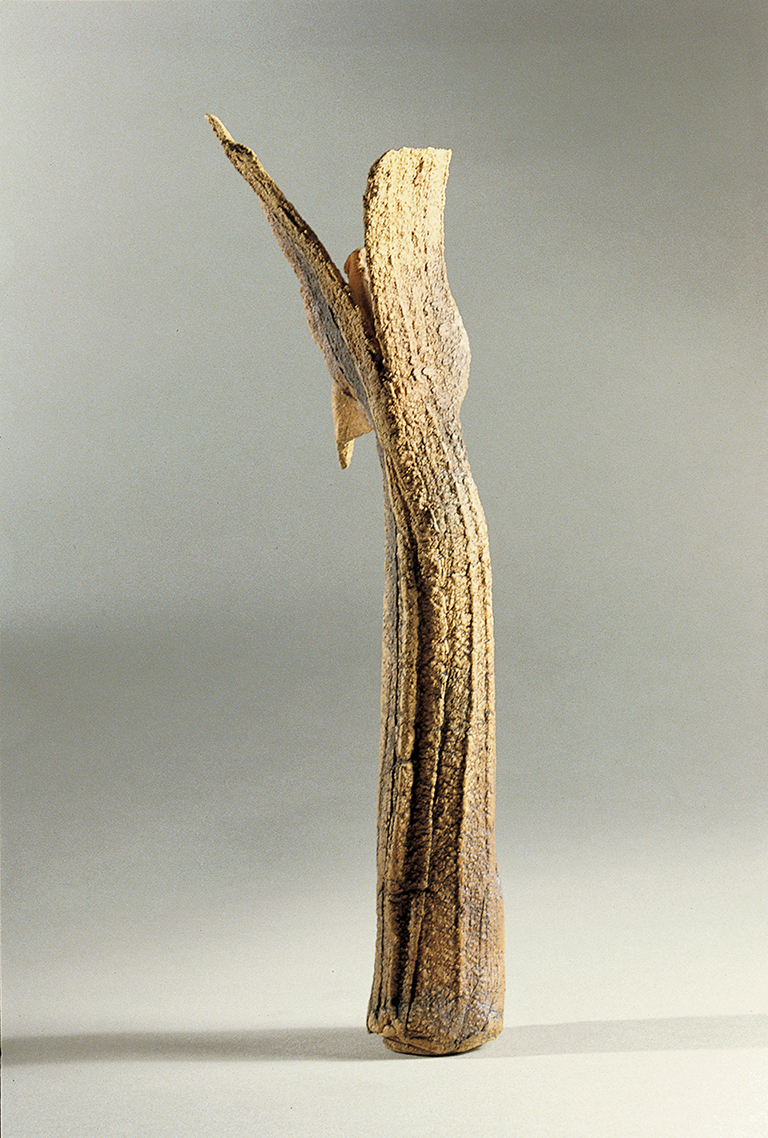 SusanEisen Angelicus