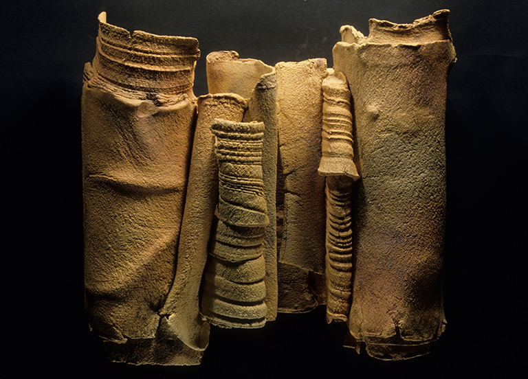 SusanEisen Wal Caldera