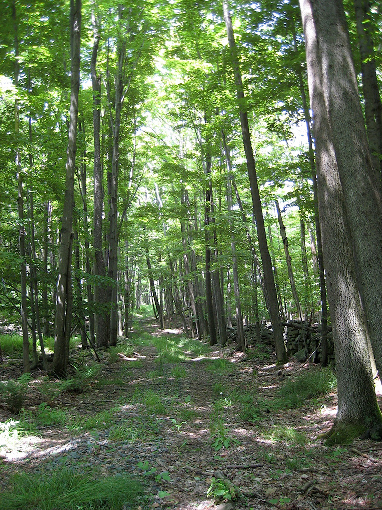 01 SpiritSong Road 0070