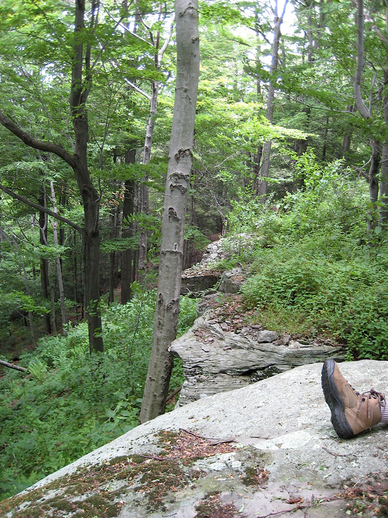 02 SpiritSongrock Ledges0072