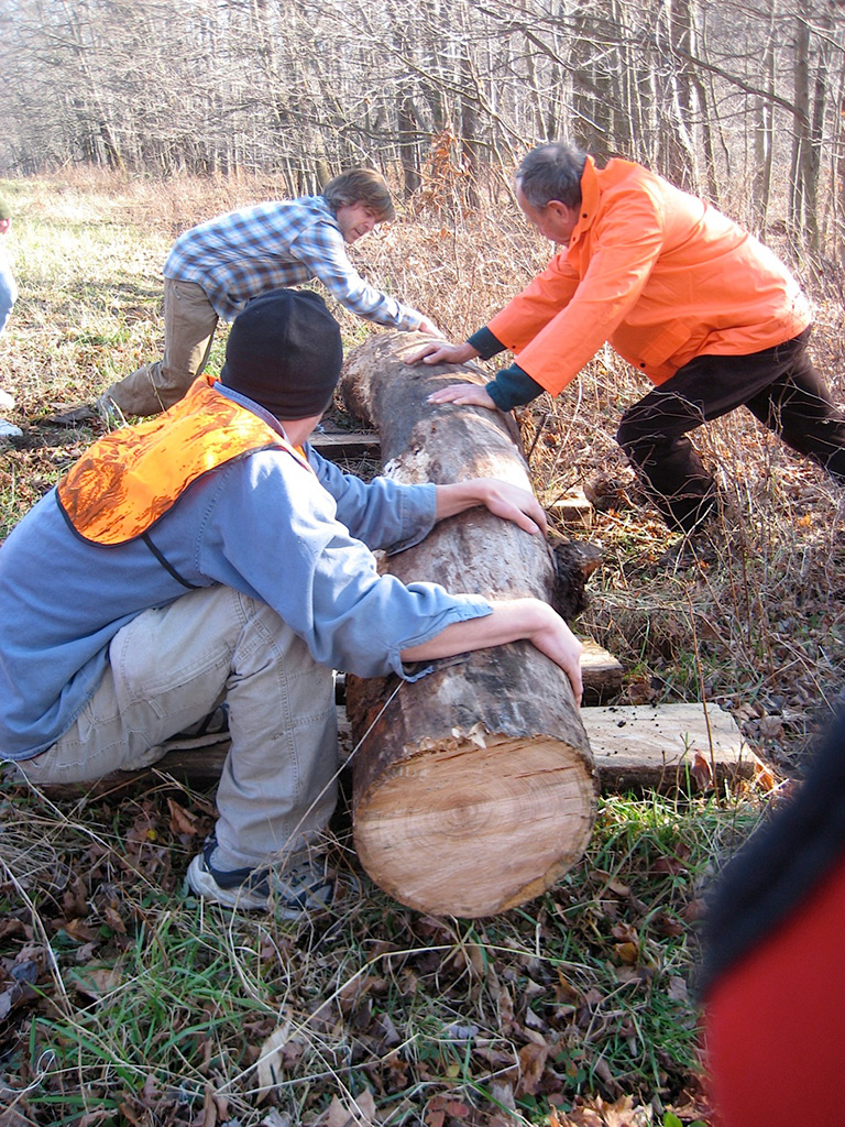 22 SpiritSongcherry Tree For Future Table 2045