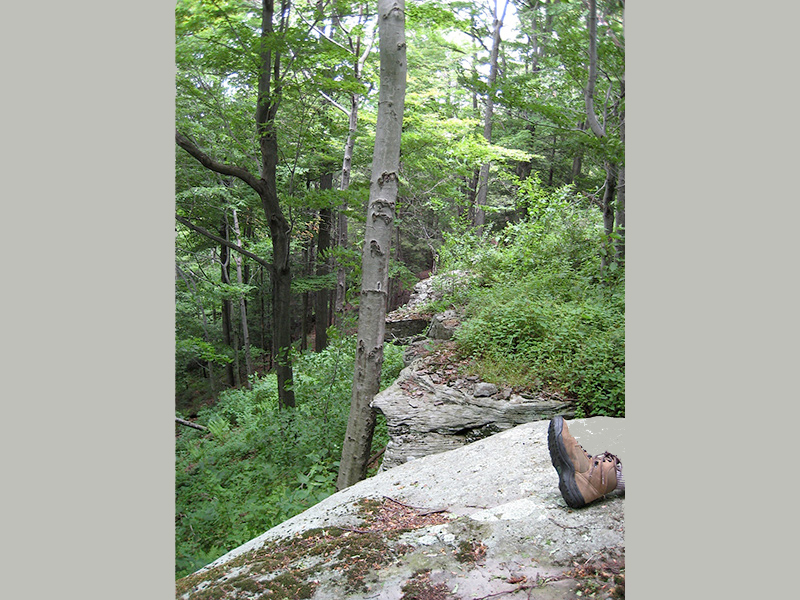 02 SpiritSong Rock Ledges0072