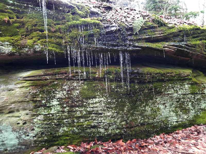 04 SpiritSong Ledge 1283