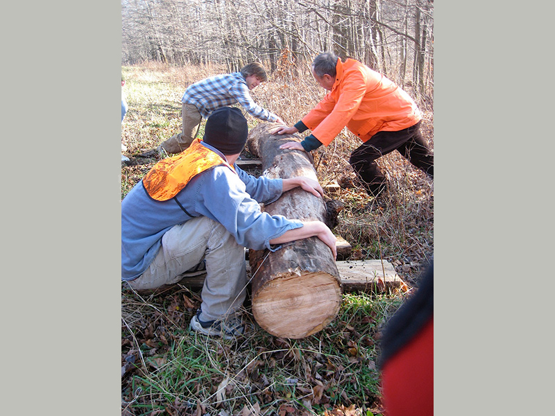 22 SpiritSong Cherry Tree For Future Table 2045